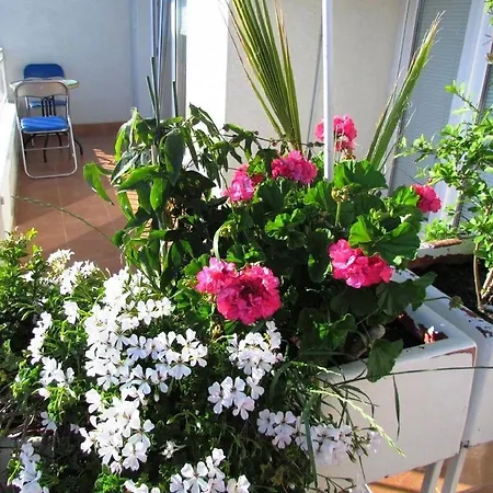 Appartement Urban Jadre